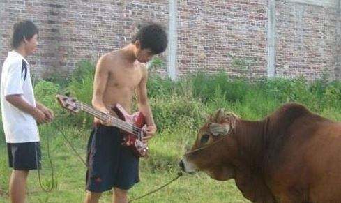 2017搞笑网名男生版,很搞笑很装逼的名字