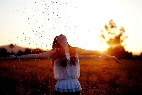 Ψ���������⾳��������������䡨������һ��