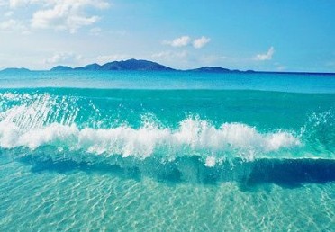 ����������QQ������_______���