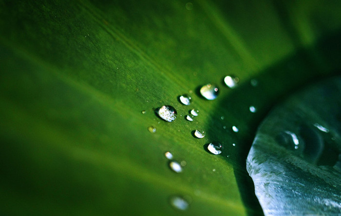 �Ƚ��ں���������������ѡһЩ�����ں�������