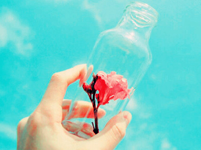 2015����������ȫ���������j