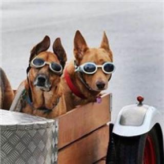 ���԰�������ϵ��������ȫ��-�ɰ���