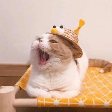 �е������ĳ���ɰ���ɫ�����Ȼ���-�ɰ���