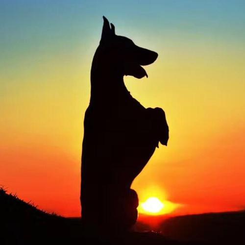 ˧���ĳ���ű���ȡ���ִ�ȫӢ����η-�ɰ���