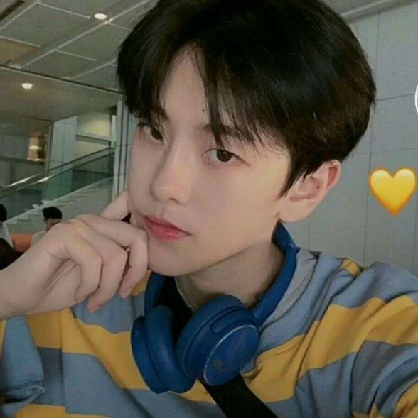 ���³���ֱ�����ָ�����������