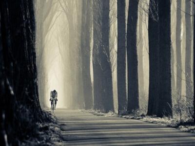 �µ����ļ�į������������ʧ������˸к���������