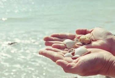 �ǳ���Ȥ����Ϸ���֣���������Ψһָ��Ů��