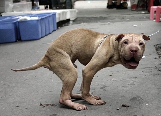 qq���������ر��������������������Ҫ����ͷ