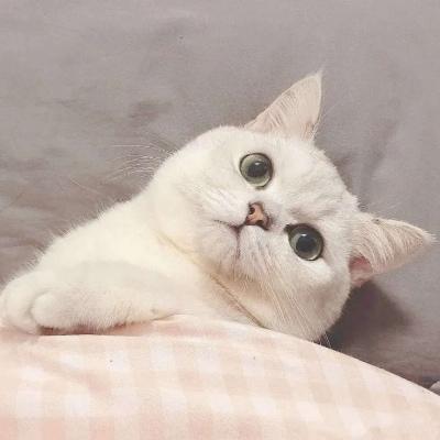 С�����յĳ���������˳����-�ɰ���