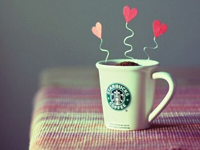 ���¸�������������ר��