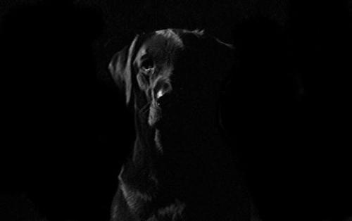 �ܵ͵���΢�����������ţ��͵����ˣ��ߵ�����