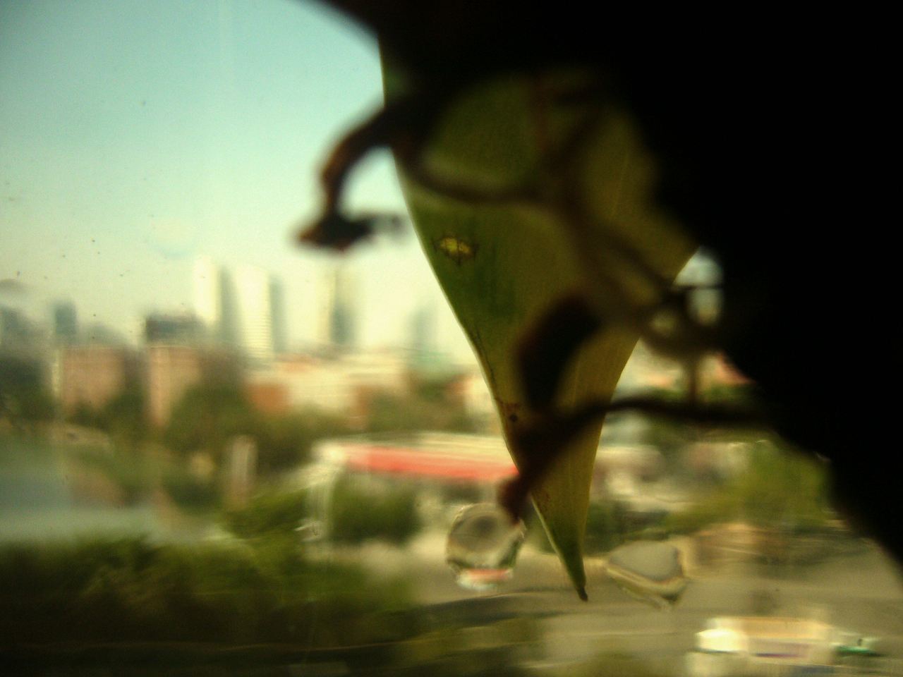 孤独冰冷看了想哭的忧伤网名,刚想伸手他却已走