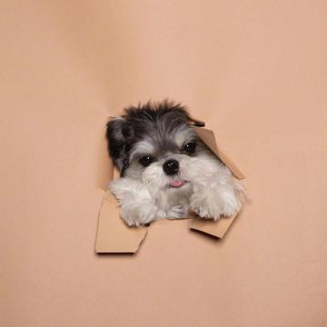 ɳ���ְ����Ĺ������ִ�ȫ����ζ��-�ɰ���