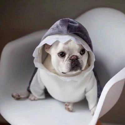 ���ɾ��ĳ��ﹷ����������ˬ�ÿ�-�ɰ���