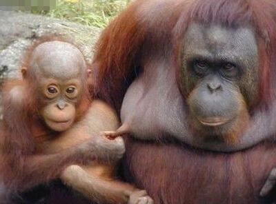 2017游戏名字大全