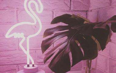 潮流好看的个性网名大全,忘记会不会比较懂事