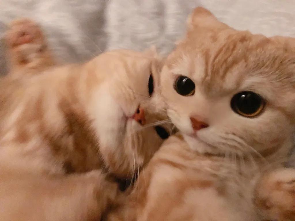 ����ʱ��Ψ����������ǡ���ô�-�ɰ���