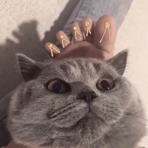 ����ĳ������ִ�ȫ����ʱ��-�ɰ���