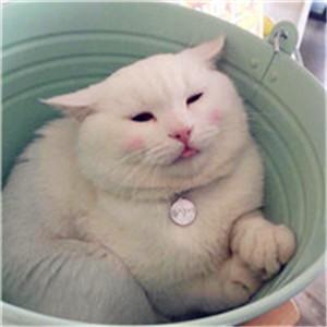 ��������ʲô�����Եô��������ʲ�һ��-�ɰ���