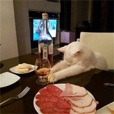 �������ȵĳ�����������ɭϵ��-�ɰ���