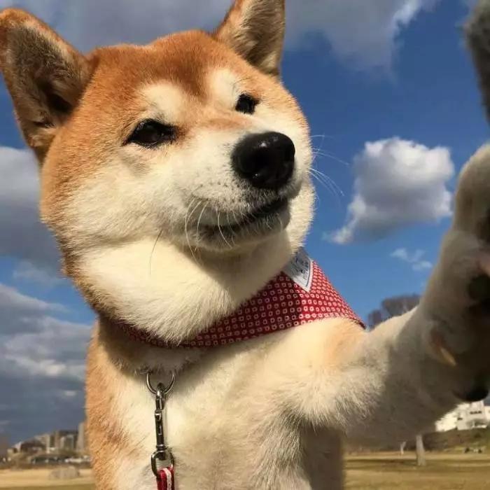 ��������˼�ĳ�������һ�Ի���¶���-�ɰ���