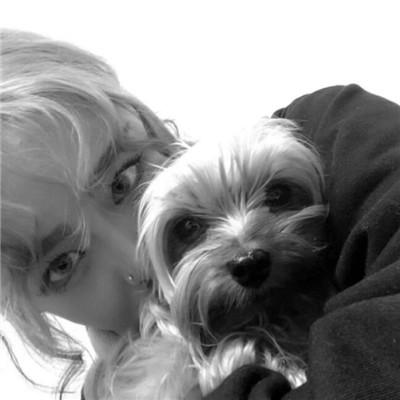 ���������Ļ�ɫ���ﹷ���ִ�ȫ��������-�ɰ���