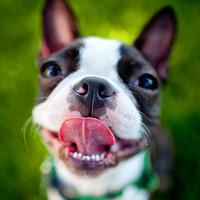 ����Լins��������ĳ�������-�ɰ���