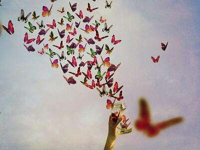 �ŵ�Ψ������ʫ�������������΢����ʧ����