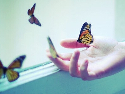 �ÿ�������������Ϸ����