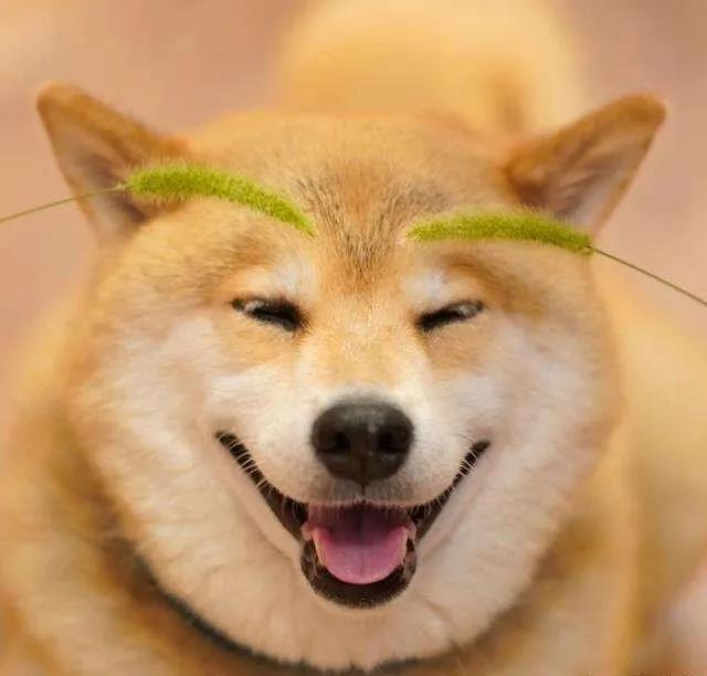 ��Ŷ��ճ������ֿɰ��������׼�-�ɰ���