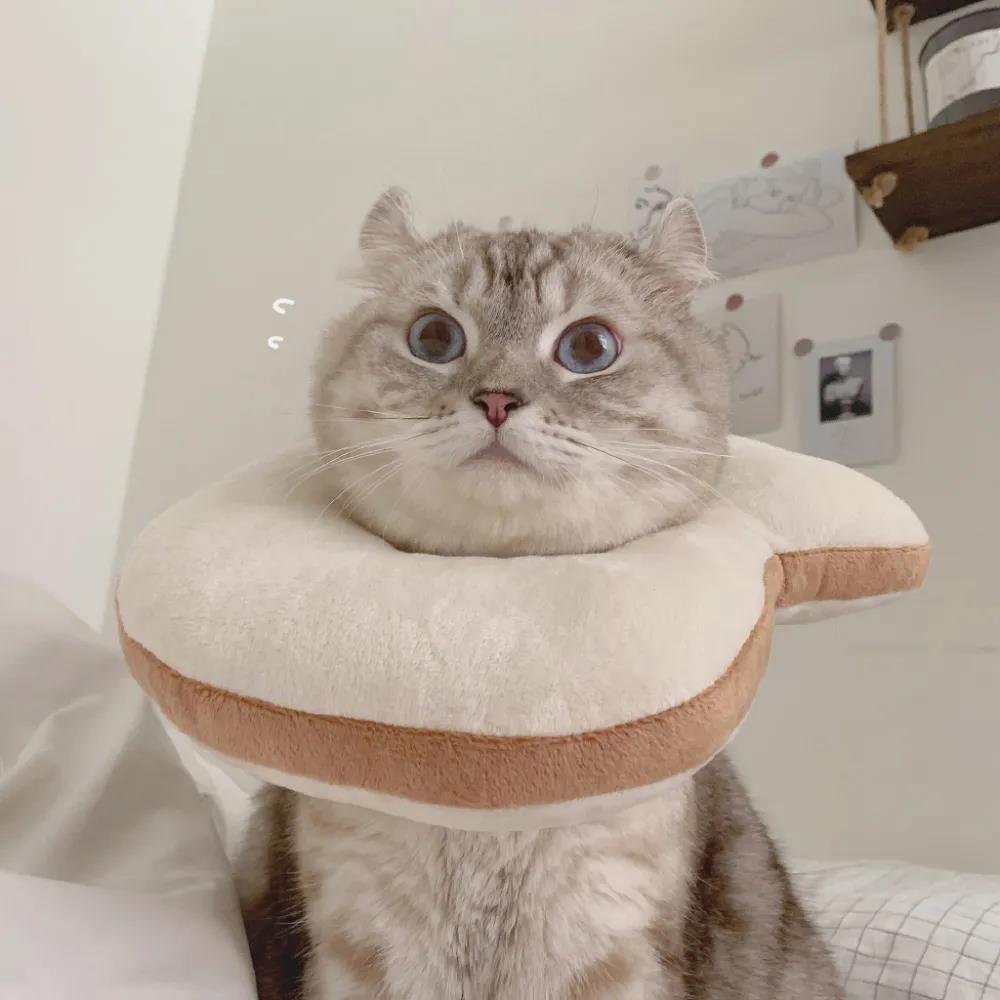 ���յĳ������ִ�ȫ��������д���-�ɰ���