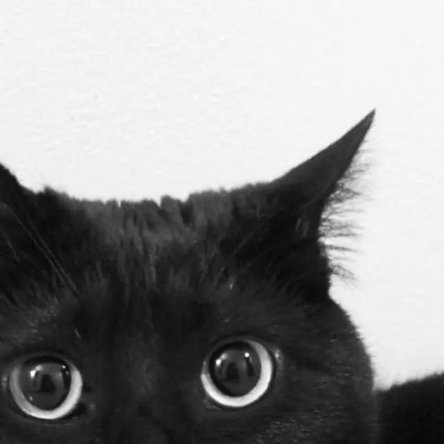 �����ְ�����������־�������-�ɰ���