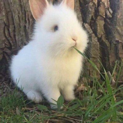 ������Ƥ�ĳ�������������ϲ��-�ɰ���