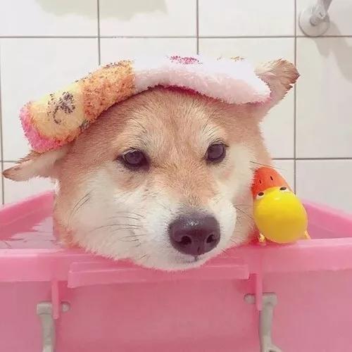 ������ȡ���ִ�ȫ����������ӻ�ͷ��-�ɰ���