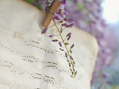 �˸����ں�����