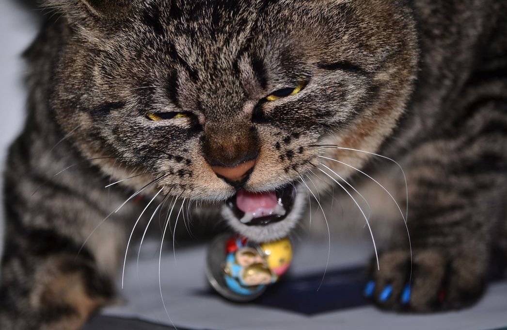 霸气十足男生七个字网名精选,怎么潇洒怎么过