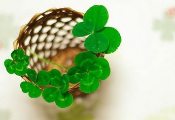 最搞笑的wifi名字大全:再连就去你家揍你