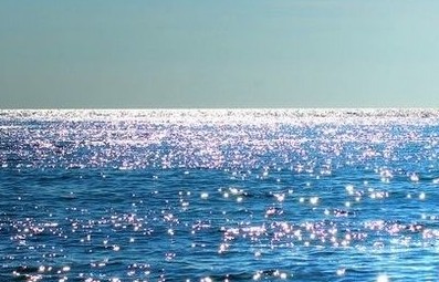 ��־���������������������