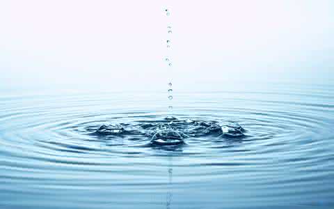 ���ں�������������2017����ȵ���������