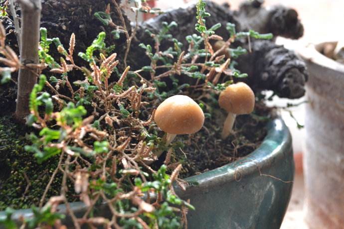 �³������������������΢������