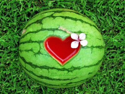 可爱搞笑的九个字网名:我不饿,只是嘴巴寂寞