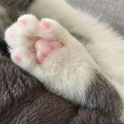 ����������ȡ����˳�ڼ����׼�-�ɰ���