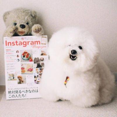 ���������ĳ������ִ���������Ϣ-�ɰ���