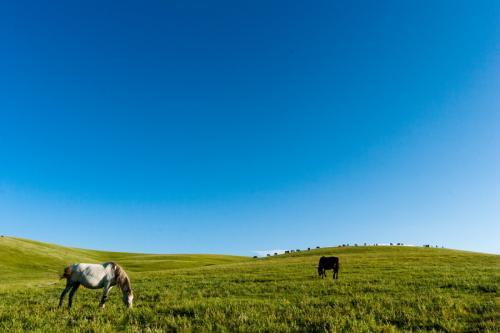 ����ĳ��������������ޱߵĲ�ԭ-�ɰ���