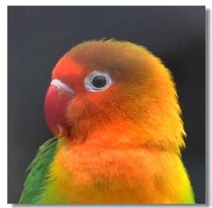 ���º����ĳ����������ִ�ȫ-�ɰ���