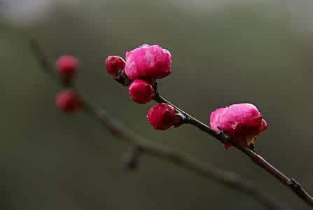 ���ں���������������һ�����ں����к���