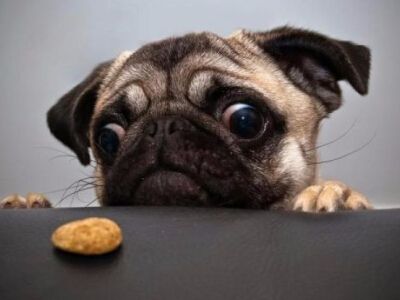 �������������������ֵ���������