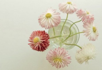 ���ÿ���������ݭ�A���ݳ����Ƿ��v�A�Y��