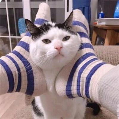 ����Ȥζ�ǳƴ�ȫ�м�����ں�