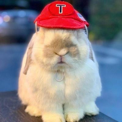 �ر���Ȥ�ĳ������ֱȽ϶����м����-�ɰ���